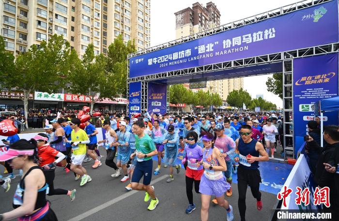 2024年廊坊市“通北”协同马拉松鸣枪开跑，展现